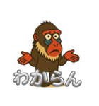 鳥取・米子のマンドリルさん（個別スタンプ：23）