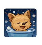 花火とチョコチョコヨーキー@SFW（個別スタンプ：11）