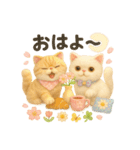 ふわふわエキゾチックショートヘアの春S（個別スタンプ：1）