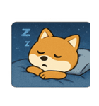 花火とニコニコ柴犬@SFW（個別スタンプ：13）