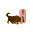 いろんな種類のわんちゃん日常スタンプ（個別スタンプ：23）