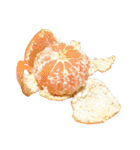 何となくその辺の食べ物5（個別スタンプ：10）