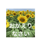 楽しいひまわり畑（個別スタンプ：6）
