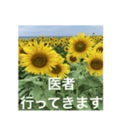 楽しいひまわり畑（個別スタンプ：14）