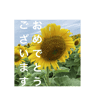 楽しいひまわり畑（個別スタンプ：36）