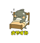 シャチとコンタクト（個別スタンプ：1）