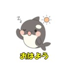 シャチとコンタクト（個別スタンプ：4）