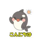 シャチとコンタクト（個別スタンプ：5）