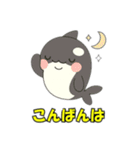 シャチとコンタクト（個別スタンプ：6）