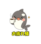 シャチとコンタクト（個別スタンプ：7）