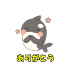シャチとコンタクト（個別スタンプ：8）