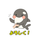 シャチとコンタクト（個別スタンプ：11）