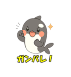 シャチとコンタクト（個別スタンプ：12）