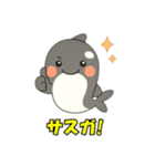 シャチとコンタクト（個別スタンプ：13）
