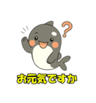 シャチとコンタクト（個別スタンプ：16）