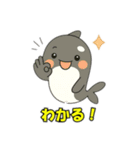 シャチとコンタクト（個別スタンプ：17）