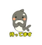 シャチとコンタクト（個別スタンプ：19）