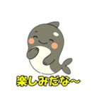 シャチとコンタクト（個別スタンプ：21）
