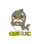 シャチとコンタクト（個別スタンプ：22）
