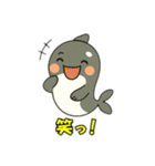 シャチとコンタクト（個別スタンプ：23）