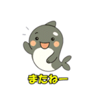 シャチとコンタクト（個別スタンプ：24）