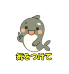 シャチとコンタクト（個別スタンプ：25）
