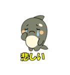 シャチとコンタクト（個別スタンプ：30）
