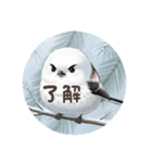 シマエナガハッピー（個別スタンプ：4）