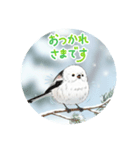 シマエナガハッピー（個別スタンプ：5）