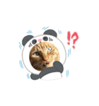 ショーくんスタンプ（個別スタンプ：8）