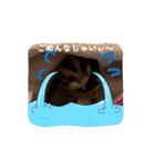 ほんわかフクモモ達の日和（個別スタンプ：2）