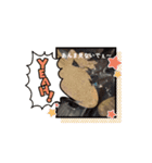 ほんわかフクモモ達の日和（個別スタンプ：5）