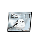 シマエナガハッピートーク（個別スタンプ：5）