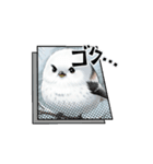 シマエナガハッピートーク（個別スタンプ：8）