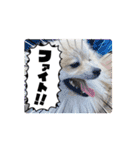 怠け者ブンブン2（個別スタンプ：3）