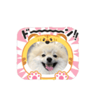 怠け者ブンブン2（個別スタンプ：4）