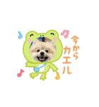 怠け者ブンブン2（個別スタンプ：15）