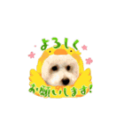ビションもふお③（個別スタンプ：6）