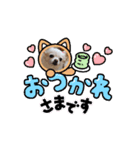 もかぼ！（個別スタンプ：8）
