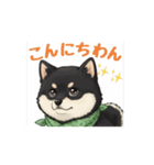 とある黒柴の日常M（個別スタンプ：1）