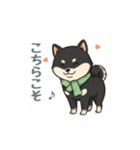 とある黒柴の日常M（個別スタンプ：7）