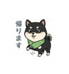 とある黒柴の日常M（個別スタンプ：9）
