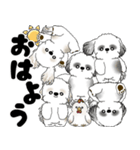 シーズー犬「飛び出す」シーズーまみれNo.4（個別スタンプ：1）