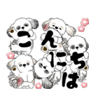 シーズー犬「飛び出す」シーズーまみれNo.4（個別スタンプ：2）