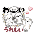 シーズー犬「飛び出す」シーズーまみれNo.4（個別スタンプ：11）