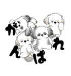 シーズー犬「飛び出す」シーズーまみれNo.4（個別スタンプ：13）