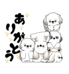 シーズー犬「飛び出す」シーズーまみれNo.4（個別スタンプ：16）