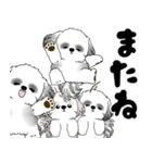 シーズー犬「飛び出す」シーズーまみれNo.4（個別スタンプ：22）