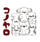 シーズー犬「飛び出す」シーズーまみれNo.4（個別スタンプ：23）