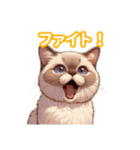 とにかくかわいい トンキニーズ（個別スタンプ：23）